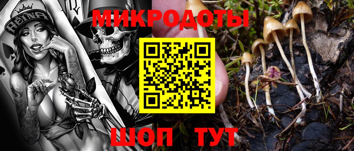 Жуковский  Псилоцибиновые грибы Psilocybine cubensis  Псилоцибиновые грибы прущие грибы  Вход с VPN 